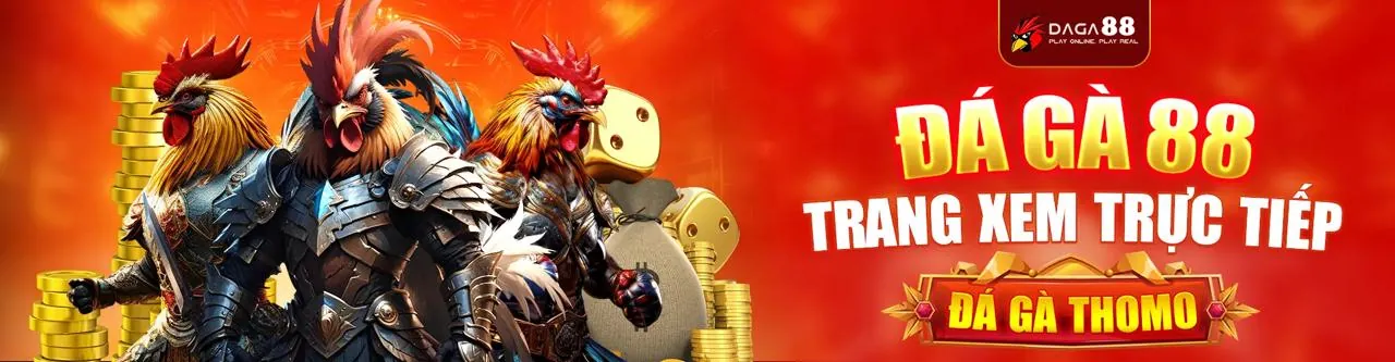 Sân vận động bóng đá với biểu ngữ TK88 Code, tượng trưng cho cá cược thể thao trực tuyến